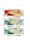 Model bias corrections for reliable projection of extreme El Niño frequency change