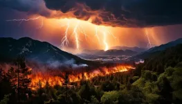 Models show intensifying wildfires in a warming world due to changes in vegetation and humidity; only a minor role for lightning