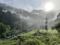 Modern mass extinction in an Ecuadorean cloud forest found to be a mirage 3