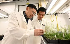 Modern plant enzyme partners with surprisingly ancient protein