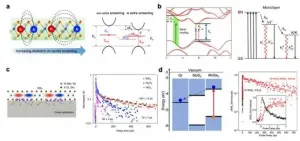 Modulation of photocarrier relaxation dynamics in two-dimensional semiconductors