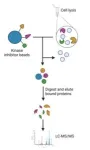 Molecular trap and zap 2