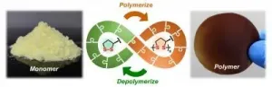 Molecule from nature provides fully recyclable polymers