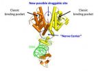 Molecules structure reveals new therapeutic opportunities for rare diabetes