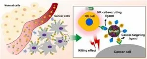 Molecules exhibit non-reciprocal interactions without external forces, new study finds 2