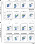 Molecules exhibit non-reciprocal interactions without external forces, new study finds 3