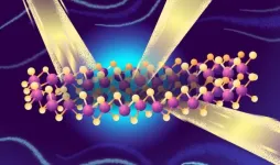 Molybdenum disulfide ushers in era of post-silicon photonics