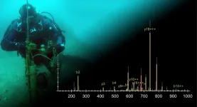 More than just a sun tan: Ultraviolet light helps marine animals to tell the time of year