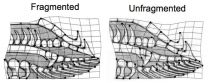 Mosquitofish genitalia change rapidly due to human impacts