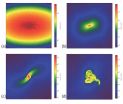 Most stars are born in clusters, some leave 'home' 2