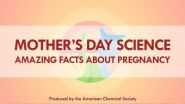 Mothers Day science: Reactions highlights amazing facts about pregnancy -- video