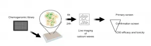 Motor neurons derived from patients point to new possible drug target for ALS