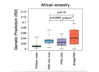 Mount Sinai researchers develop novel method to improve disease prediction across diverse ancestries