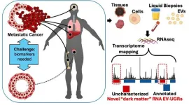 Mount Sinai researchers discover novel nanoparticles in blood with potential to transform cancer diagnosis