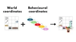 Mount Sinai researchers have uncovered the mechanism in the brain that constantly refreshes memory 2