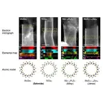 Move over carbon, the nanotube family just got bigger 2