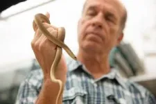 Move over pythons: These snakes are the real champion eaters 3