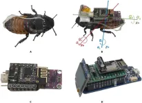 Movement optimization for a cyborg cockroach in a bounded space incorporating machine learning