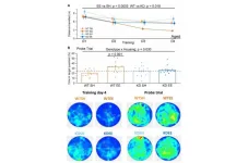 MSK1’s required role in cognitive benefits from enriched experiences in old age