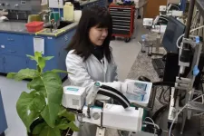 MSU researchers use unique approaches to study plants in future conditions