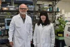 MSU researchers use unique approaches to study plants in future conditions 2