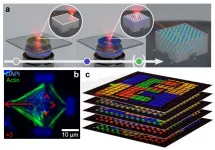 Multi-material multi-photon 3D laser micro- and nanoprinting