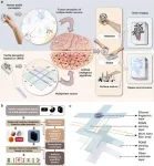 Multi-photon bionic skin realizes high-precision haptic visualization for reconstructive perception