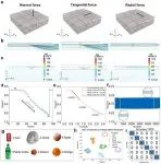 Multi-photon bionic skin realizes high-precision haptic visualization for reconstructive perception 2