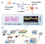 Multi-synaptic photonic SNN based on a DFB-SA chip