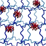 Multicyclic molecular wheels with polymer potential