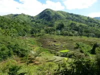 Multiple uses of tropical mosaic landscapes