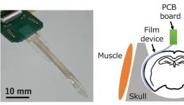 Multisensory information detection by using multi-channel electrocorticography film that can place over a wide area of the cerebral cortex