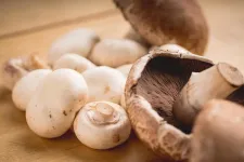 Mushrooms add important nutrients when included  in the typical diet