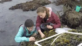 Mussel bed surveyed before World War II still thriving