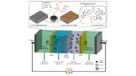 Mussel-inspired membrane can boost sustainability and add value to industrial wastewater treatment