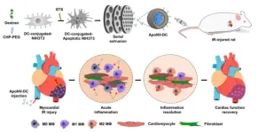 Myocardial infarction, the number one cause of sudden death, may be treated by modulating the immune response.