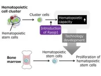 Mysterious family of microbial proteins hijack crops’ cellular plumbing 2