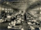 Mystery of the pandemic flu virus of 1918 solved by University of Arizona researchers