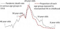 Mystery of the pandemic flu virus of 1918 solved by University of Arizona researchers 2