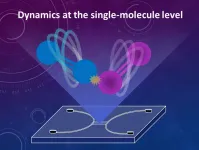 Nanofluidic devices offer solutions for studying single molecule chemical reactions