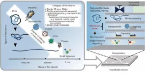 Nanofluidic devices redefining matter manipulation at an unprecedented level