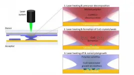 Nanomaterials with laser printing