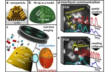 Nanoparticles: The complex rhythm of chemistry