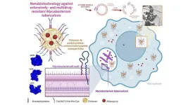 Nanoparticles with antibacterial action shorten duration of tuberculosis treatment