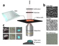 Nanophotonics enhanced coverslip for phase imaging in biology