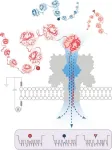 Nanopore technology achieves breakthrough in protein variant detection