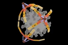 Nanorobot hand made of DNA grabs viruses for diagnostics and blocks cell entry