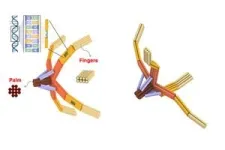 Nanorobot hand made of DNA grabs viruses for diagnostics and blocks cell entry 2