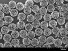 Nanoshell shields foreign enzymes used to starve cancer cells from immune system