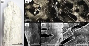 Nanostructures in the deep ocean floor hint at life’s origin